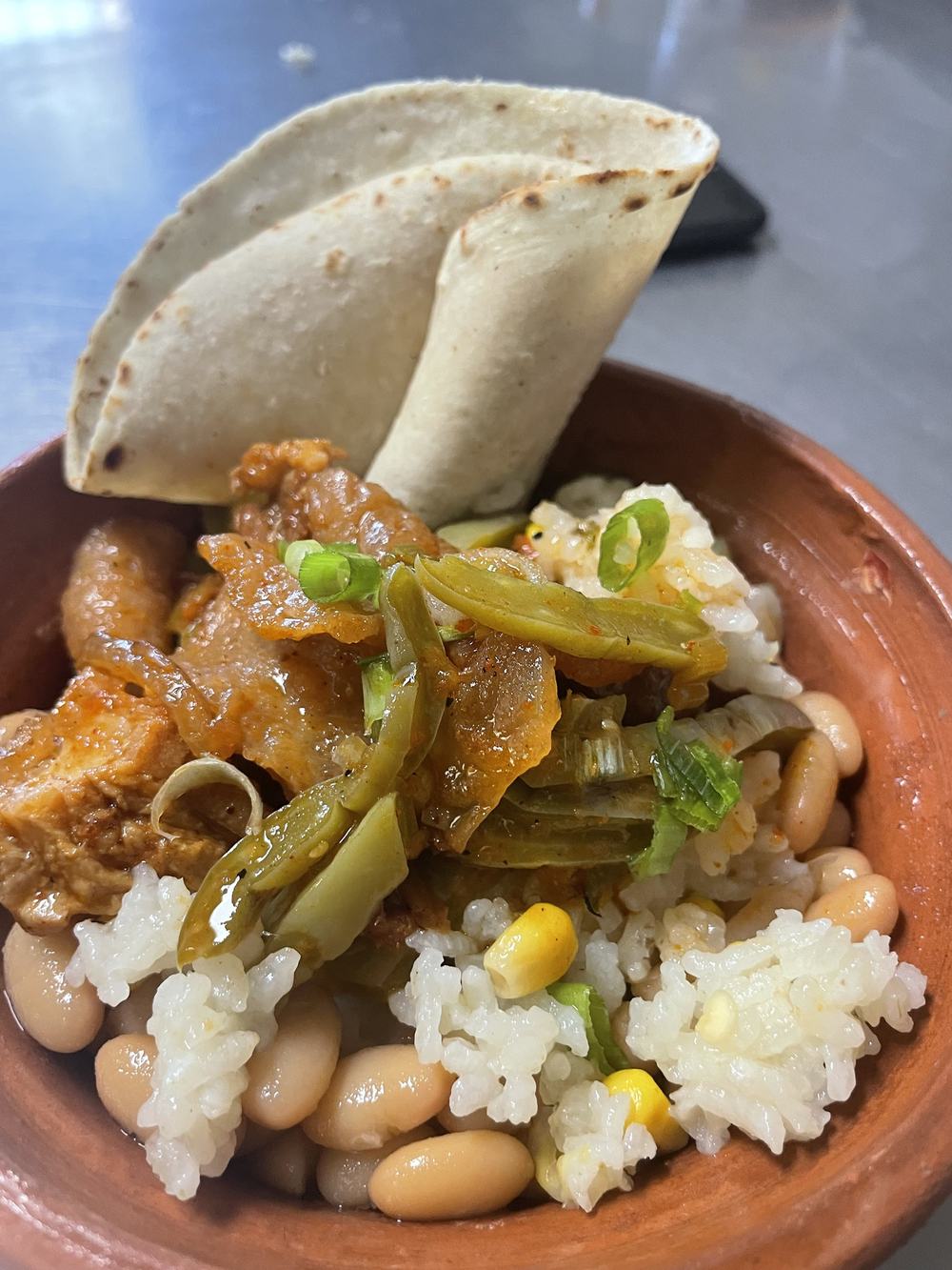 Bowl of pork with nopales, rice, beans and handmade tortillas