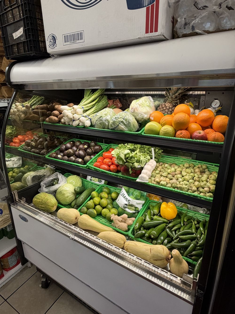 Produce case with tomatillos, jalapeños, avocados, limes and oranges